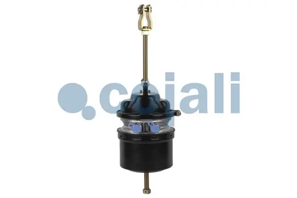 2251502 Cojali