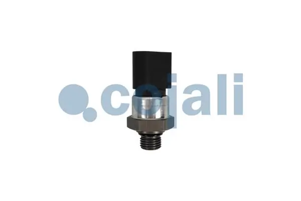 2260938 Cojali
