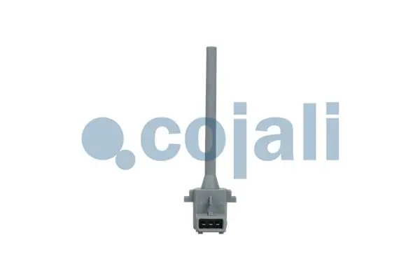 2262031 Cojali