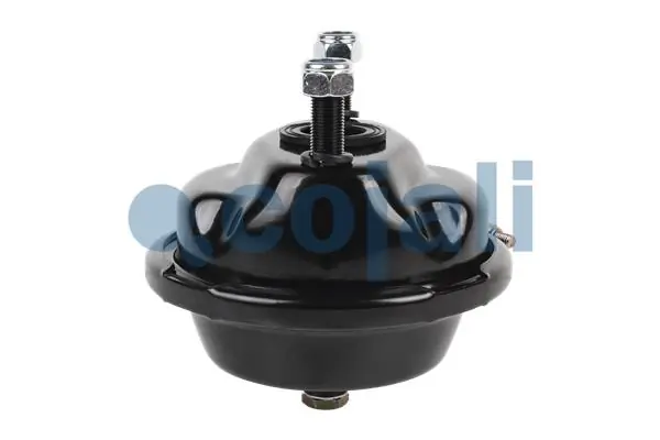 Cámara de freno con acumulador de energía 81511016484 MAN