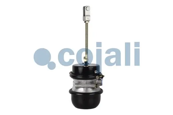 Cámara de freno con acumulador de energía Knorr-bremse K031736N00 precio, desde 112,74 EUR