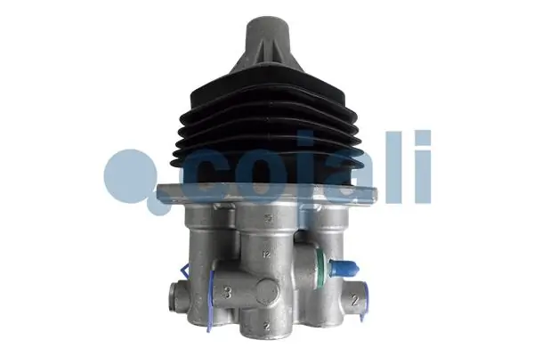 2516009 Cojali