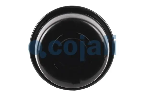 Cámara de freno con acumulador de energía Cojali 2251426