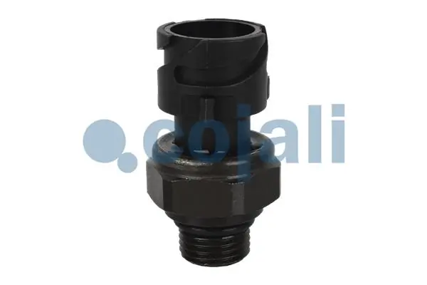 2260287 Cojali
