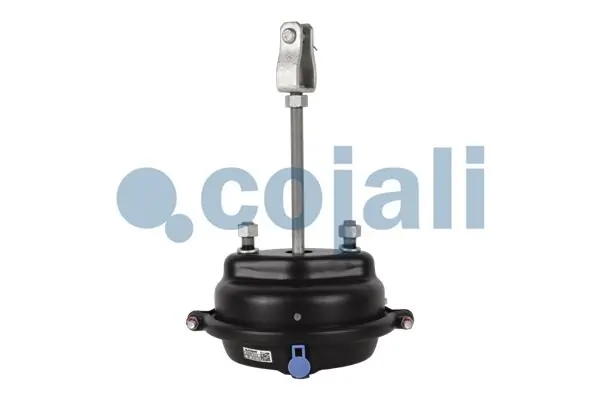 2251113 Cojali