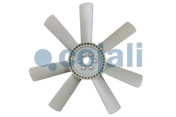 8124612 Cojali