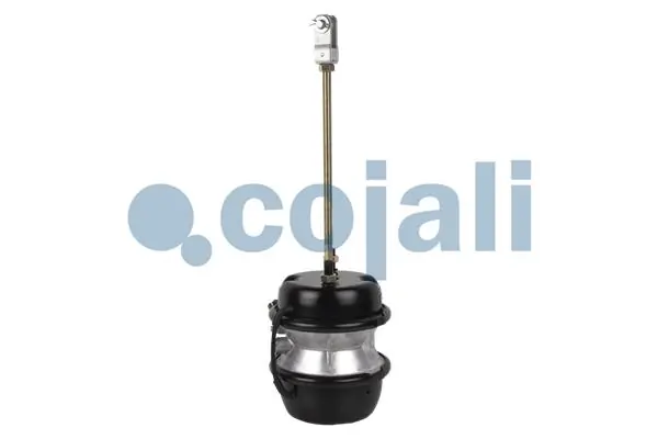 Cámara de freno con acumulador de energía Scania 1738483 precio, desde 99,84 EUR