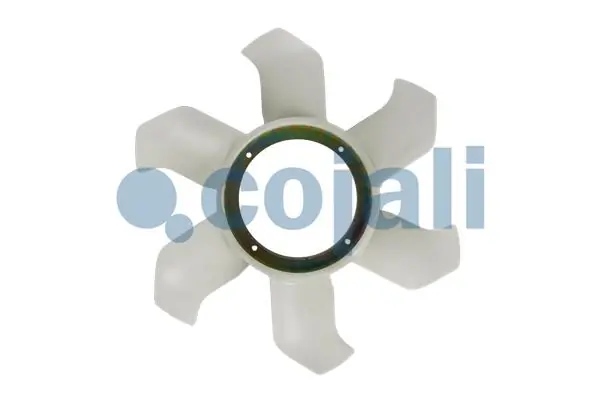 8125617 Cojali
