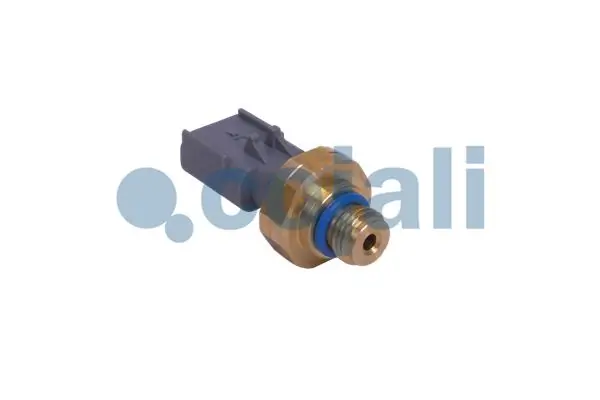 2262035 Cojali Sensor, presión gas de escape