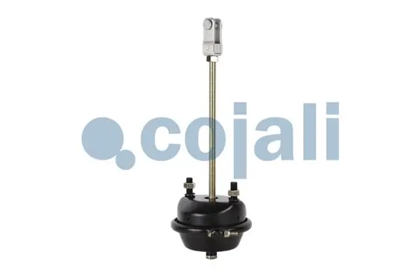 Cámara de freno con acumulador de energía Alon VL0301069 precio, desde 27,12 EUR