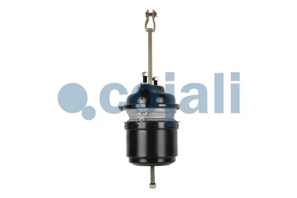 Comprar VL0301081 Alon Cámara de freno con acumulador de energía