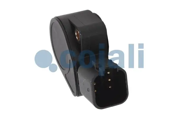 2260371 Cojali