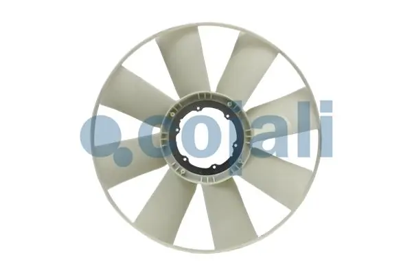 7037115 Cojali