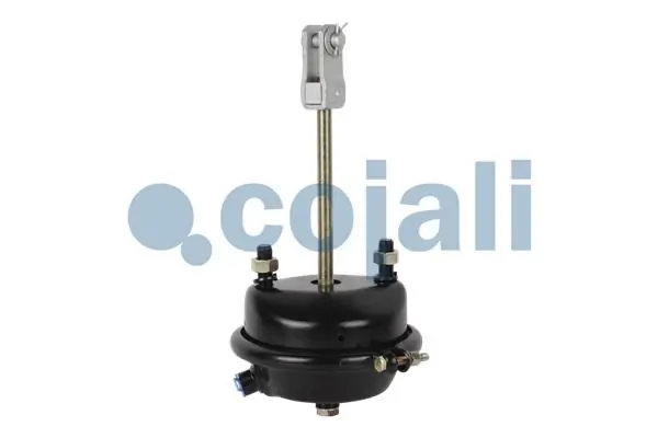 Cámara de freno con acumulador de energía Mercedes 0004209124 precio, desde 34,19 EUR