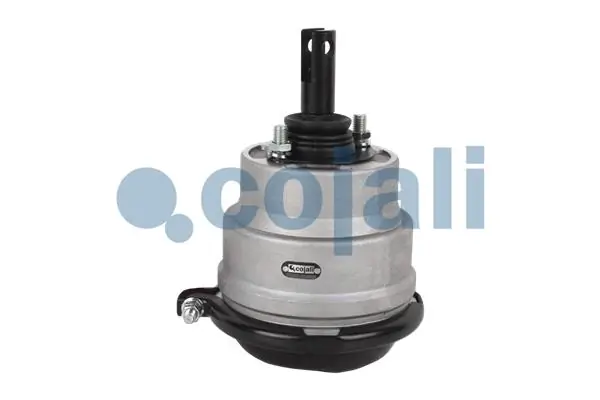 Cámara de freno con acumulador de energía Iveco 504191316 precio, desde 167,43 EUR