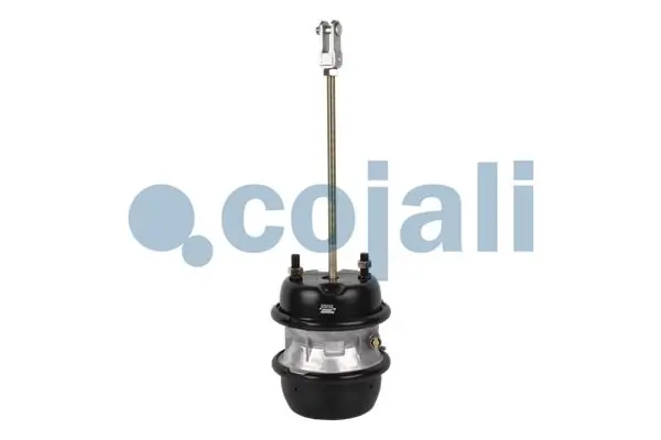 Comprar 1738483 Scania Cámara de freno con acumulador de energía
