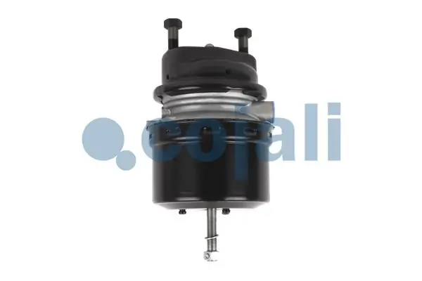 2251516 Cojali Cámara de freno con acumulador de energía