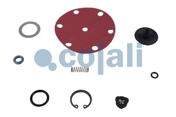 6012106 Cojali