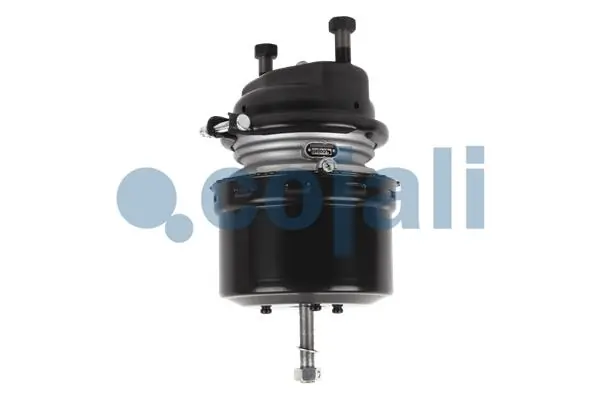 Cámara de freno con acumulador de energía Cojali 2251516 precio, desde 89,10 EUR