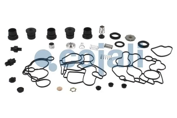 6014229 Cojali Deshumidificador de sistema neumático