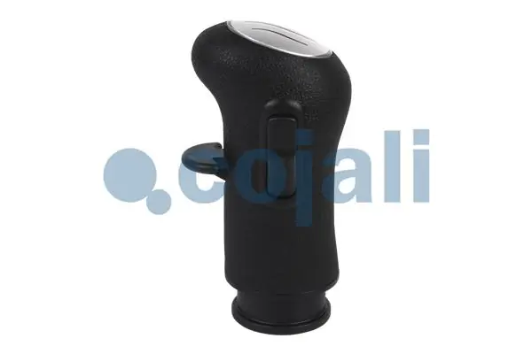 Pomo de palanca de cambios Renault (RVI) 5010639250 precio, desde 60,98 EUR