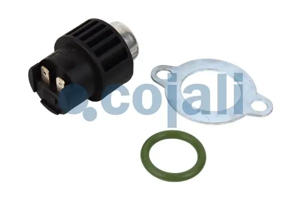 2260373 Cojali