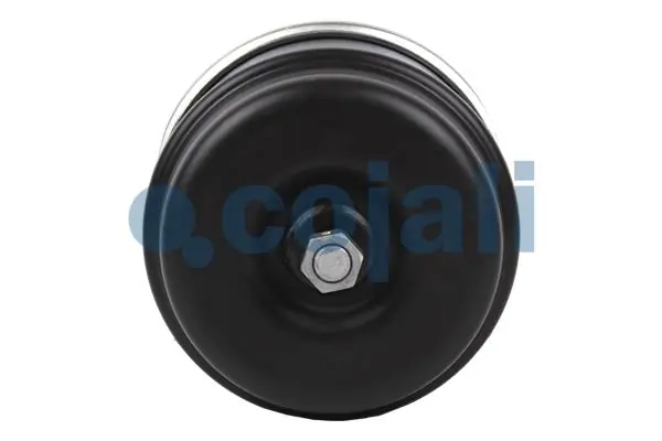 99482723 Iveco Cámara de freno con acumulador de energía