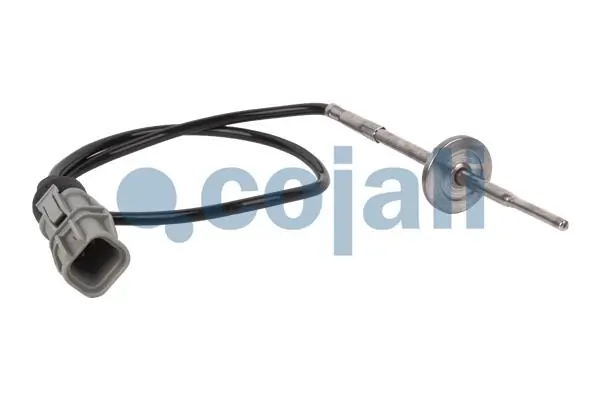 2260399 Cojali