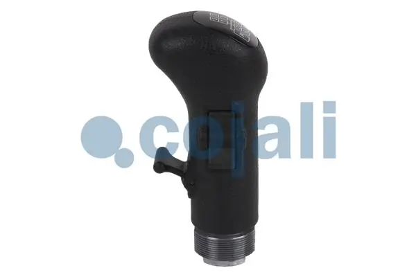 1285260 Ford Pomo de palanca de marchas