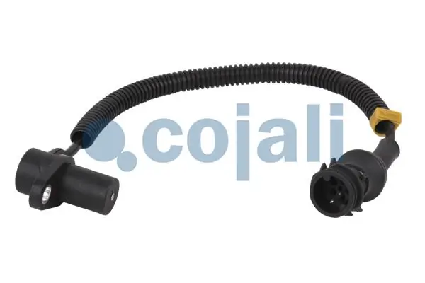 2260301 Cojali