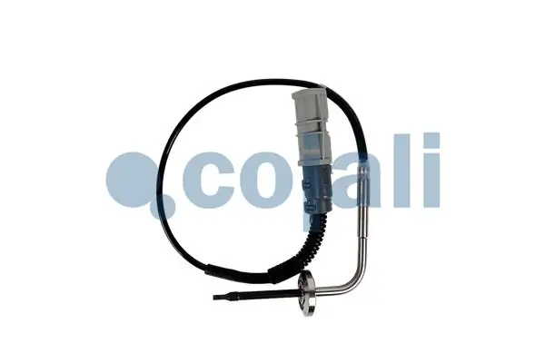 2260895 Cojali