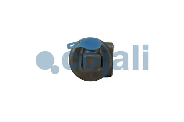 Empaque de culata Renault (RVI) 5010450423