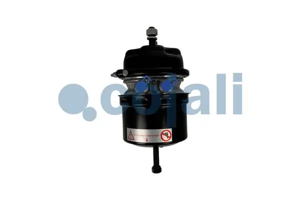 2251563 Cojali