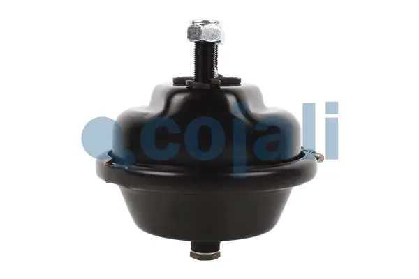 A0074208418 Mercedes Cámara de freno con acumulador de energía