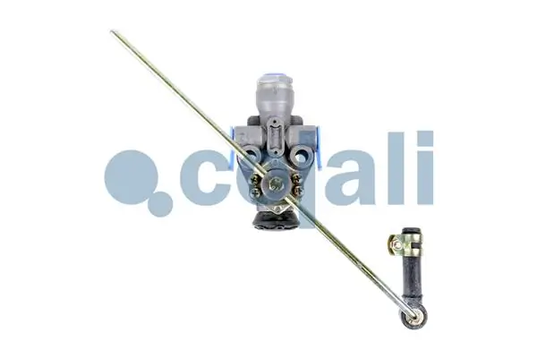 2214105 Cojali
