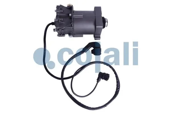 2350117 Cojali