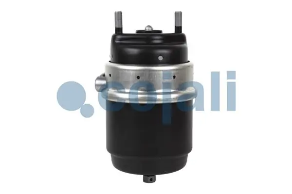 Cámara de freno con acumulador de energía Iveco 99482723 precio, desde 291,74 EUR