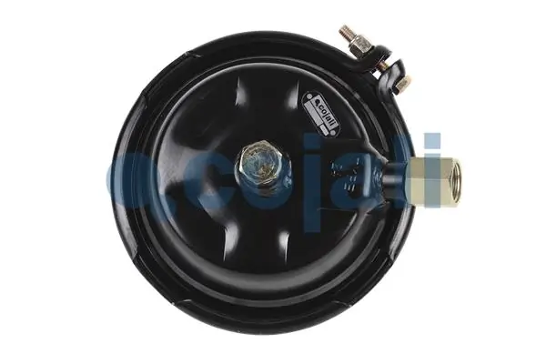 Comprar 81511016484 MAN Cámara de freno con acumulador de energía