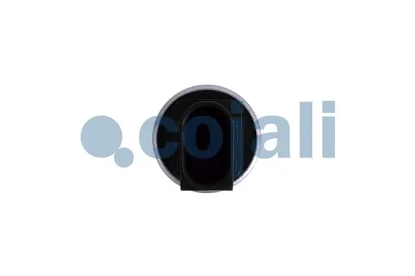 2260766 Cojali 