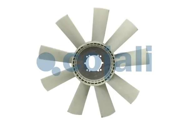 7037111 Cojali