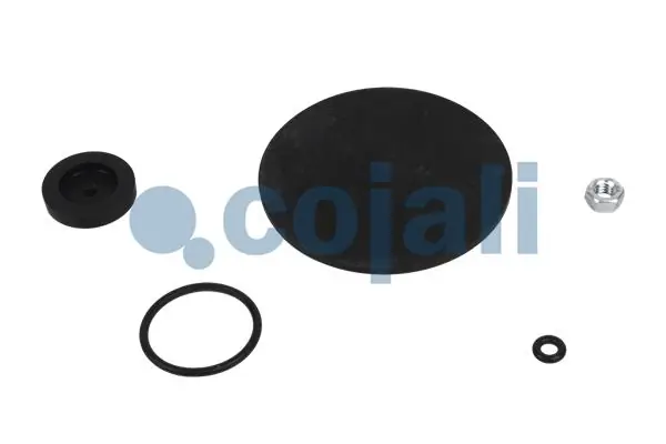 6012084 Cojali