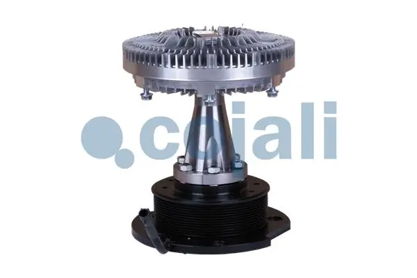 7053809 Cojali