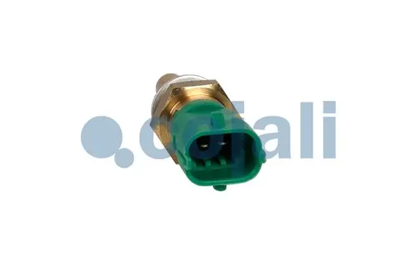 Sensor de temperatura del motor Ford 281002471