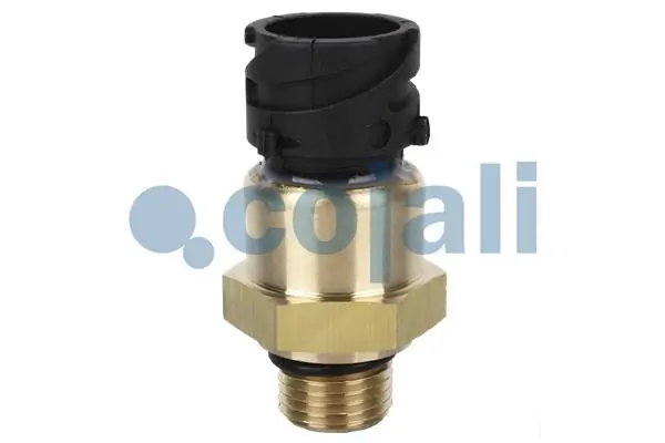 2260264 Cojali