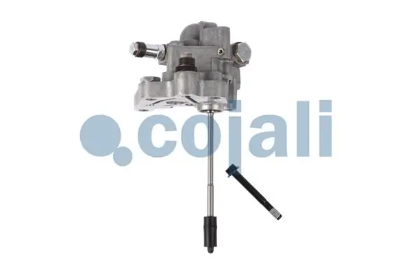 Bomba de combustible mecánica Cojali 2880189 precio, desde 157,95 EUR