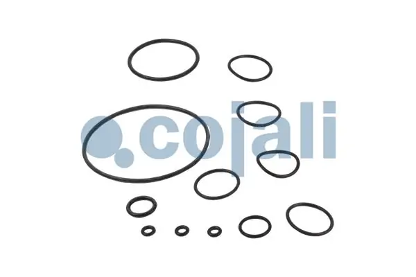 Juego de reparación, válvula principal de freno Cojali 6012030 precio, desde 41,57 EUR