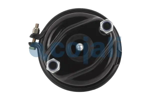 Comprar A0074208418 Mercedes Cámara de freno con acumulador de energía
