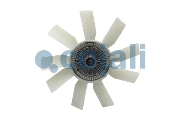 8124126 Cojali