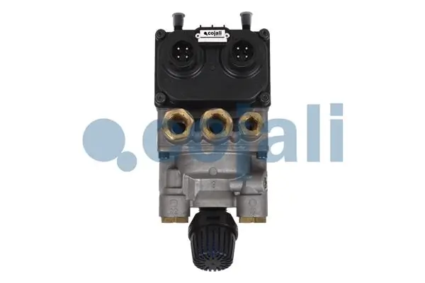 352573 Cojali