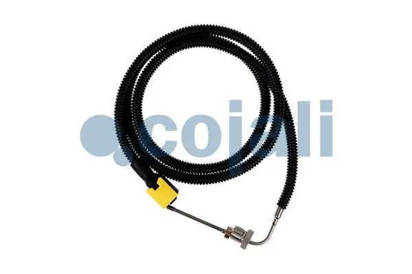2260881 Cojali
